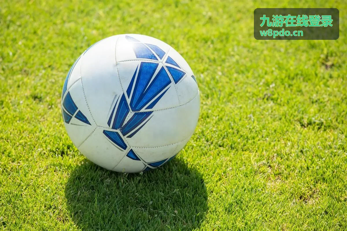 九游在线登录密码找回流程配图